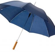 cb25ad3695ea72e3