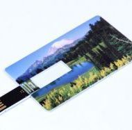 _n_card1W