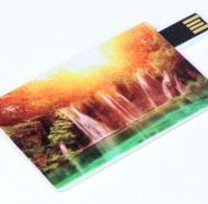_n_card2W