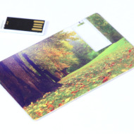 Card3W_