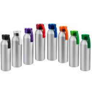 Бутылка для воды VIKING SILVER 650мл., Серебристая с синей крышкой 6141.01 (3)